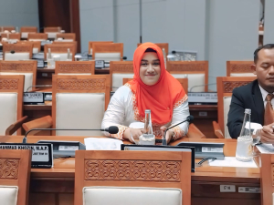 Anggota Komisi XII DPR RI, Meitri Citra Wardani