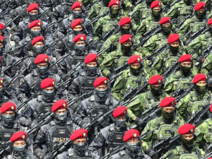 Tentara Nasional Indonesia