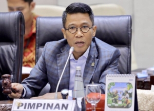 DPR Pastikan Hak Daerah Tetap Terjaga di Tengah Penyesuaian Fiskal